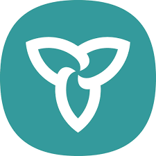 Ontario Health – Digital Services logo